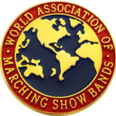 WAMSB International Pin